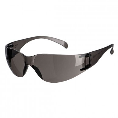 Aptiniet aizsargbrilles PORTWEST PW32
