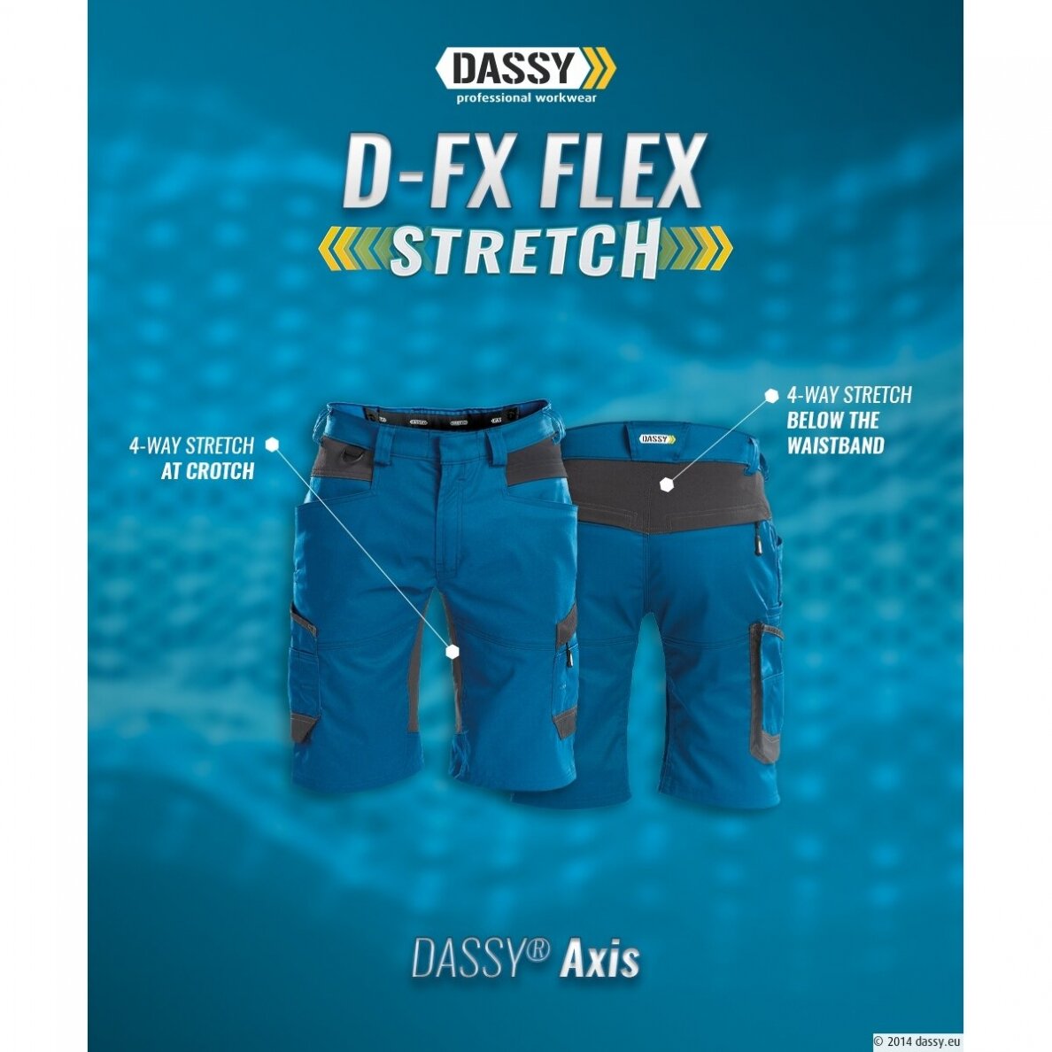 Darba šorti DASSY AXIS, pelēki 2