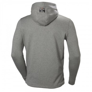 Džemperis HELLY HANSEN Chelsea Evolution Hood, pilkas