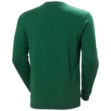 Džemperis HELLY HANSEN Graphic Sweatshirt, žalias Džemperis HELLY HANSEN Graphic Sweatshirt, žalias