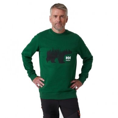 Džemperis HELLY HANSEN Grafiskais džemperis, zaļš 2