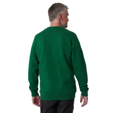 Džemperis HELLY HANSEN Grafiskais džemperis, zaļš 3 Džemperis HELLY HANSEN Grafiskais džemperis, zaļš 3