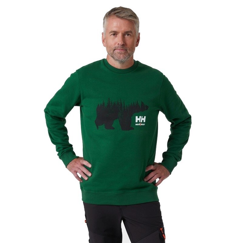 Džemperis HELLY HANSEN Grafiskais džemperis, zaļš 2