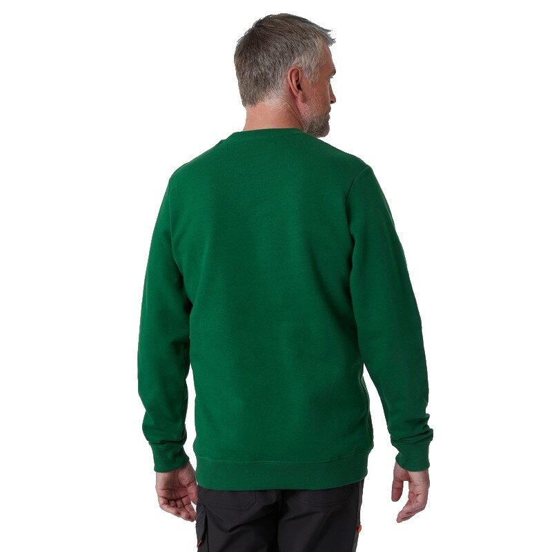 Džemperis HELLY HANSEN Grafiskais džemperis, zaļš 3