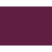 Sieviešu Fruit of the Loom 63-030-0 Polo krekls 77 Sieviešu Fruit of the Loom 63-030-0 Polo krekls 77