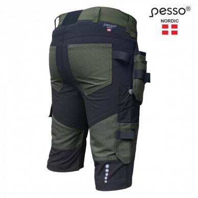 Šorti Pesso Titan Flexpro KB125Z, zaļi 1