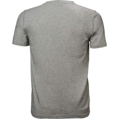 Marškinėliai HELLY HANSEN Chelsea Evolution Tee, pilki