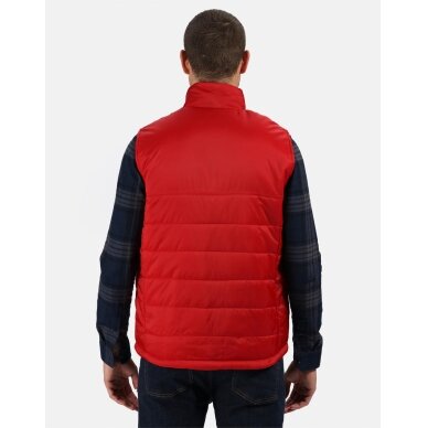 Vīriešu veste Regatta TRA831 7 Vīriešu veste Regatta TRA831 7