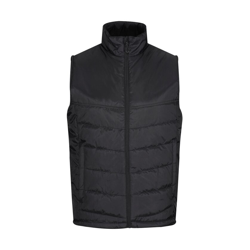 Vīriešu veste Regatta TRA831 21